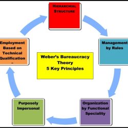 Organization theory and design 13th edition