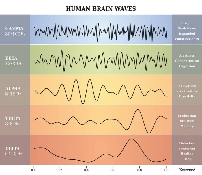 Blank rhythm brain waves pattern crossword