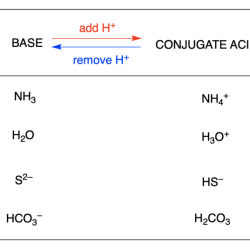 Conjugate acid base pairs worksheet