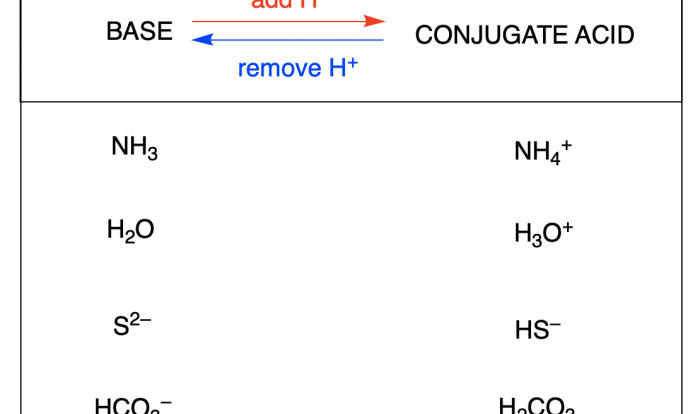 Conjugate acid base pairs worksheet