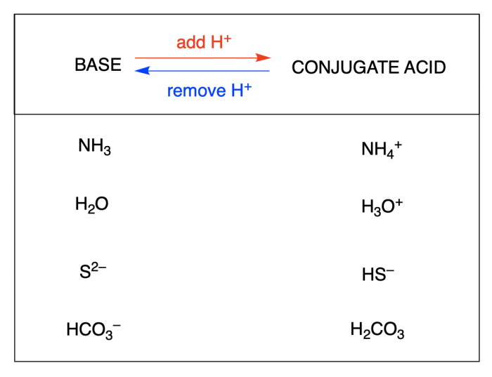 Conjugate acid base pairs worksheet