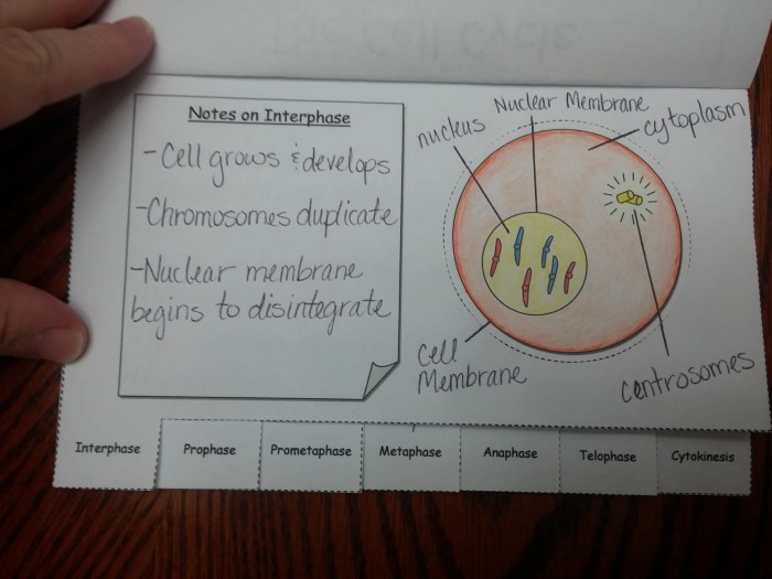 Quadrilaterals flip book answer key