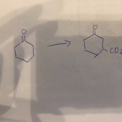 Draw the structure of pyruvate at ph 7.4