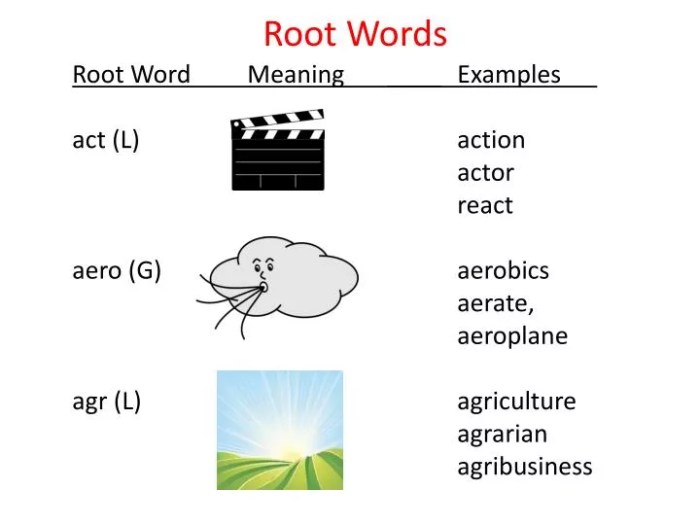 Root word latin words greek omni duc port dict bio phon mit roots auto bene mis graph gen good path