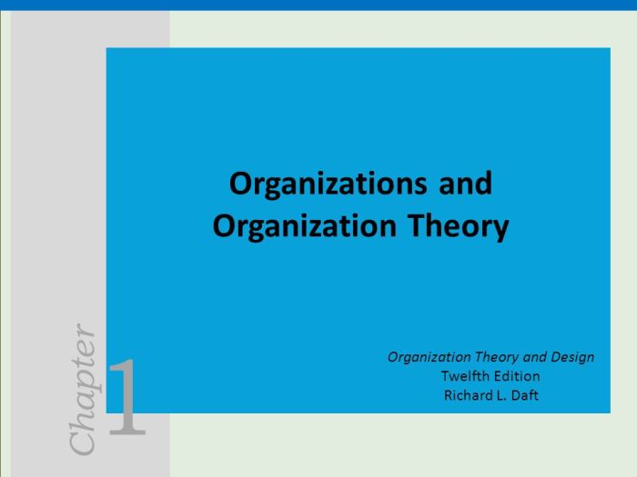 Organization theory and design 13th edition