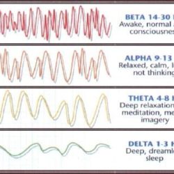 Blank rhythm brain waves pattern crossword