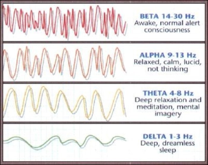 Blank rhythm brain waves pattern crossword