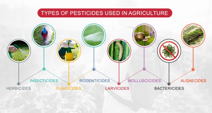 Pesticides infographic