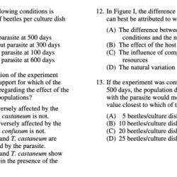 Ap biology population ecology practice problems answers