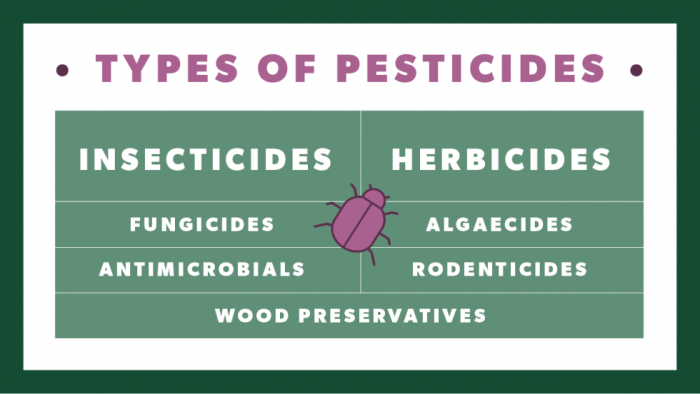 What type of pesticides can be used in a restaurant