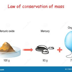 Mass conservation law practice tes