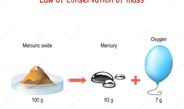 Mass conservation law practice tes