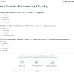 Anatomy and physiology worksheets with answers