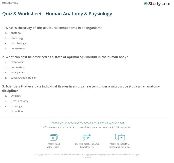 Anatomy and physiology worksheets with answers